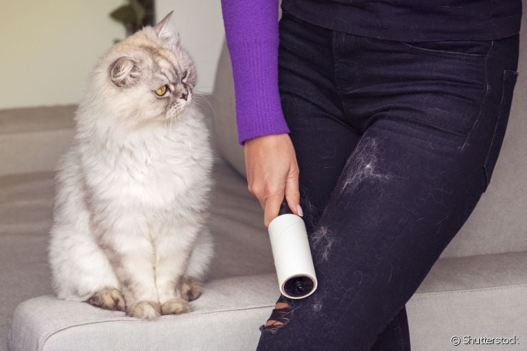  Tirar pelo de gato da roupa não é uma tarefa difícil, basta utilizar os métodos corretos 