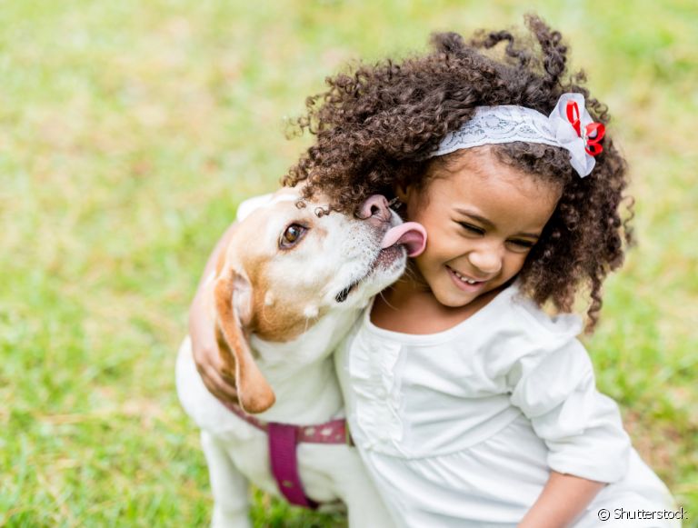  Cachorro e crianças mais velhas: Raças de grande e médio porte, como o Beagle e Labrador, são as mais indicadas 