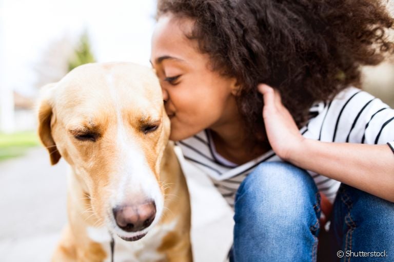 A terapia com cachorros e gatos é muito benéfica para diferentes pacientes, inclusive crianças