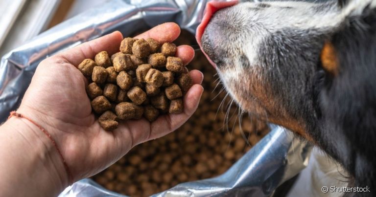 A ração a granel é mais barata, mas sua forma de conservação pode prejudicar a saúde do animal