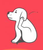 Doença do carrapato: veja em infográfico os perigos dessa doença de cachorro