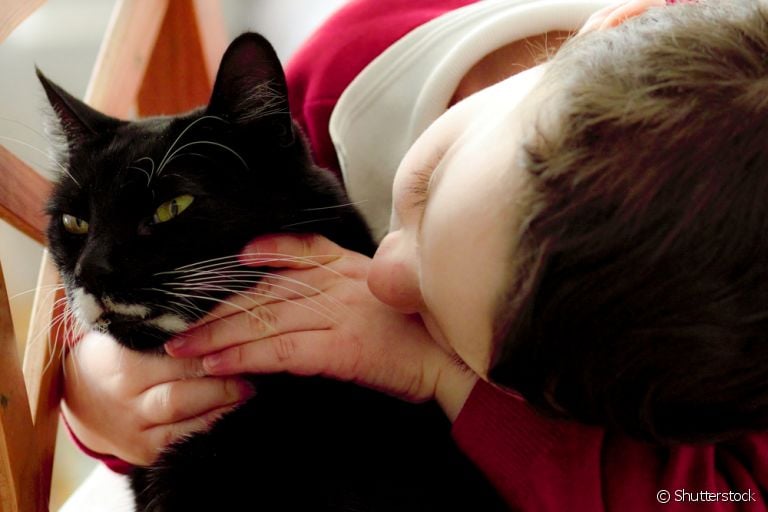 Para evitar um gato engasgado é necessário ter alguns cuidados