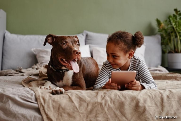 Cachorro para criança: Pitbull, Labrador e Terra Nova são cães grandes que se dão bem com os pequenos
