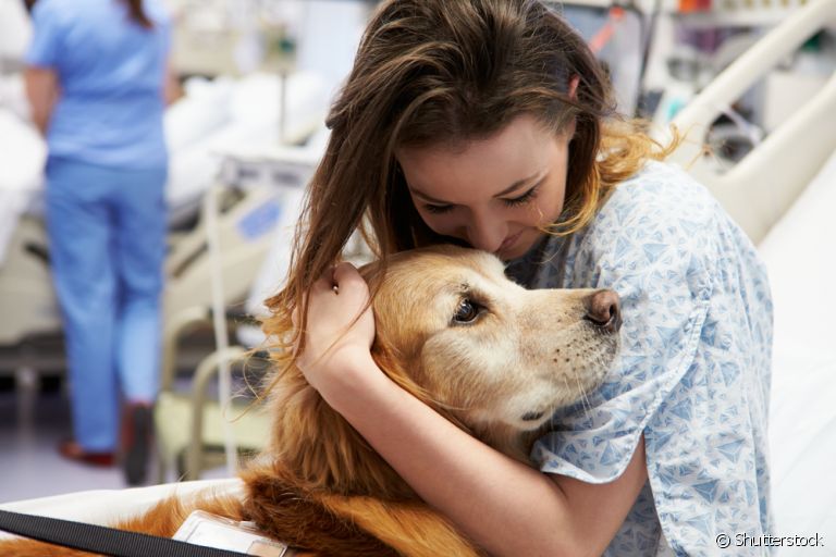 A terapia assistida por animais é comumente utilizada em situações de hospitalização