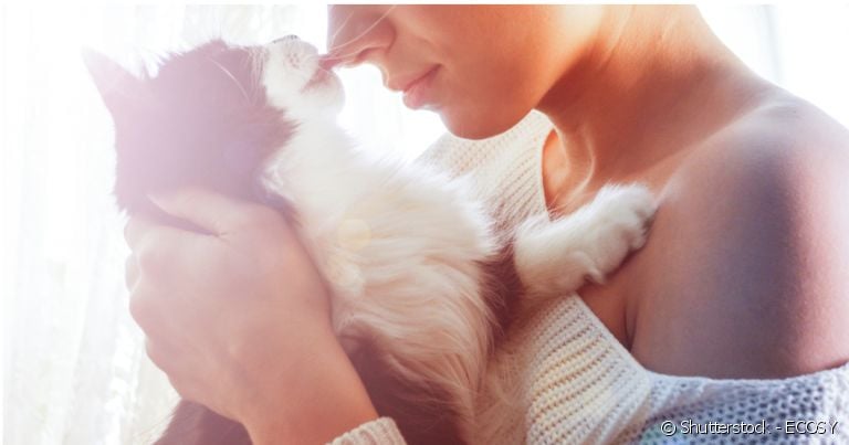  Quem já adotou cachorro ou gato sabe que os sentimentos que vão sendo construídos dia após dia