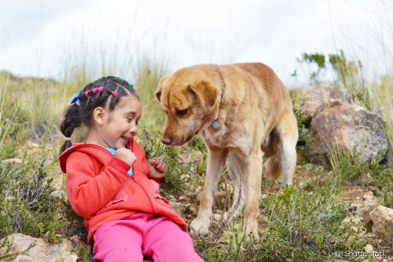 A cinofobia é o medo de cães de forma desproporcional e irracional, geralmente derivado de algum trauma.