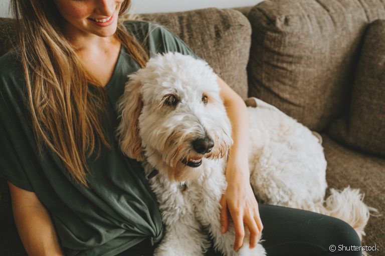 O serviço de pet sitter inclui todos os cuidados que o seu cãozinho precisa