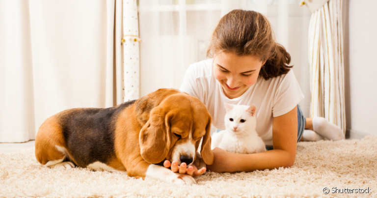 A boa relação entre cachorro e dono e gato e dono tem muito a ver com a personalidade dos dois