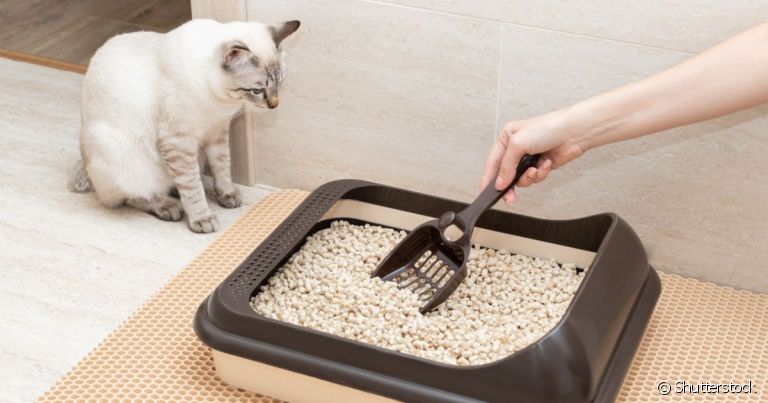  A caixa de areia para gatos deve ser limpa com o auxílio da pá coletora de dejetos