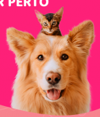 Pets que curam! Veja em infográfico como cães e gatos podem ajudar o emocional de seus tutores