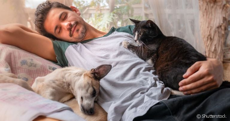 Adotar cachorro ou gtao traz inúmeros benefícios tanto para o animal quanto para o pai de pet