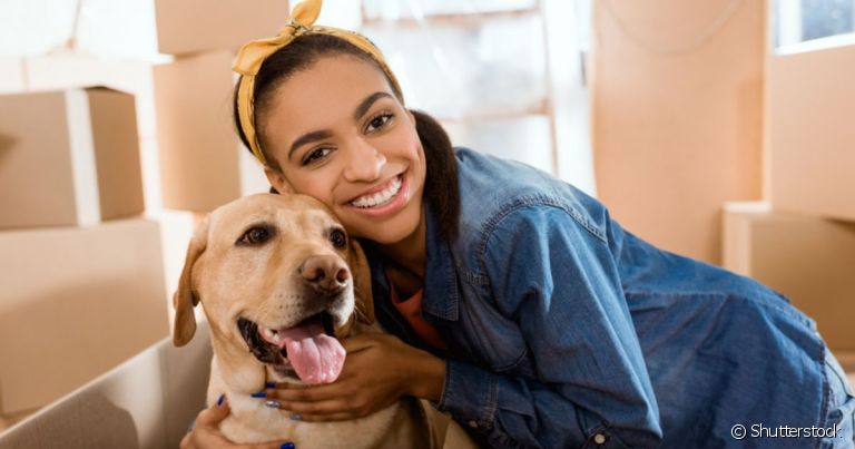 Labrador, Bichon Frisé, Pug... essas são algumas das raças mais indicadas para pais de primeira viagem