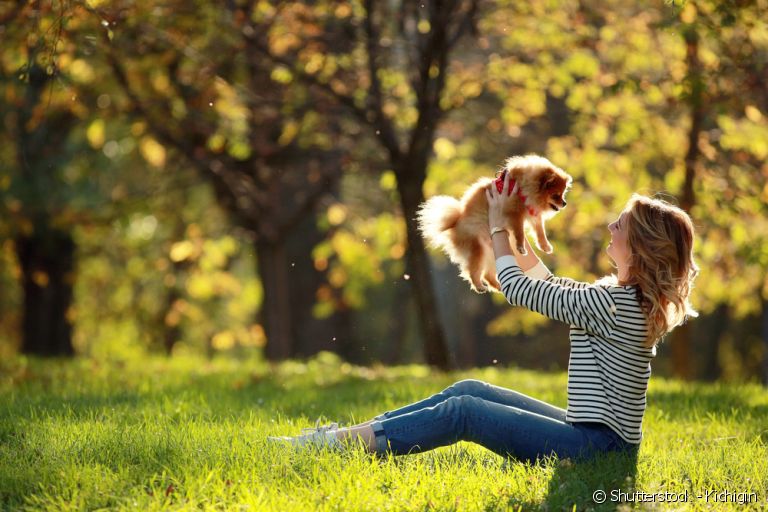 Cachorros pequenos são sempre ótimas companhias