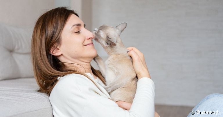 O gato lambe o dono para demonstrar sentimentos