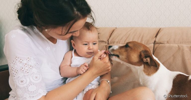O cachorro com ciúmes de uma criança ou bebê recém-chegado precisa se acostumar com o novo membro da família