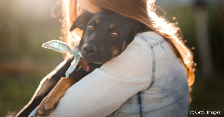 Adotar cachorro pode ser trabalhoso, mas todo cuidado vale a pena.