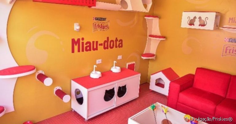 Para incentivar a adoção de animais, foi criado o evento "Friskies® Miau-Dota"