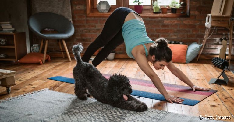 Yoga para cachorro é uma prática que vem fazendo cada vez mais sucesso