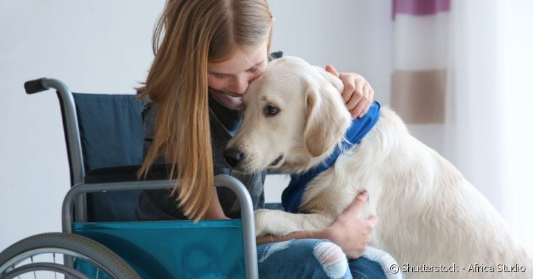 Pessoas com deficiência de qualquer tipo podem ter muitos benefícios com a companhia de um Labrador.