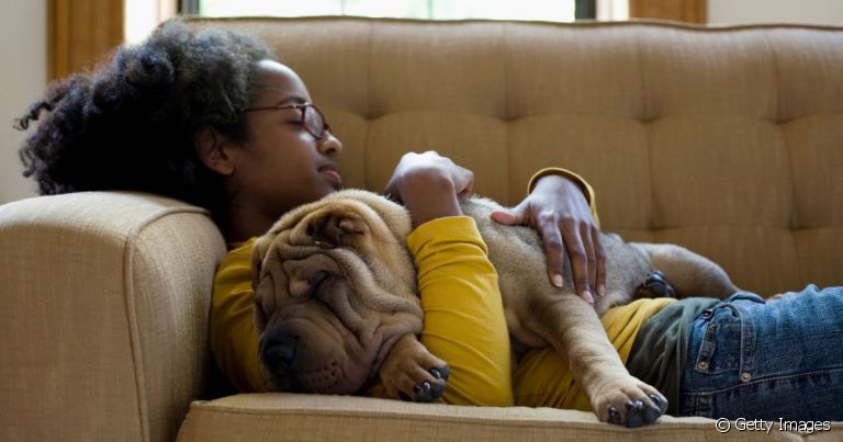 O olfato de cachorro é capaz de identificar os hormônios do estresse em alguém