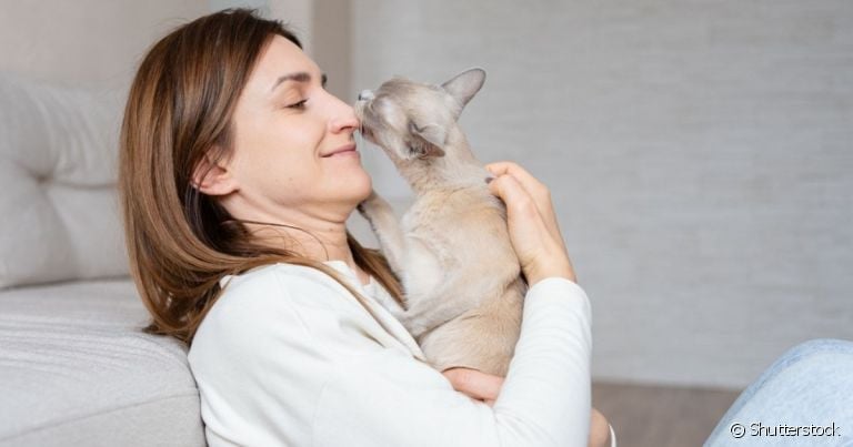 Normalmente o cachorro ou gato lambe o rosto do dono para demonstrar afeto