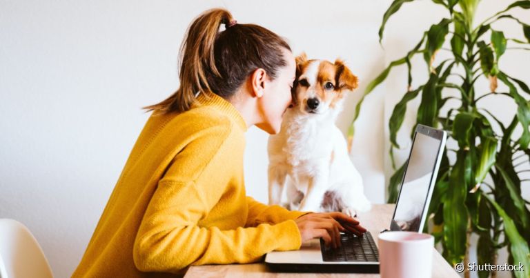  Ter um cachorro ajuda na ansiedade e pode até mesmo impactar no seu sucesso profissional 