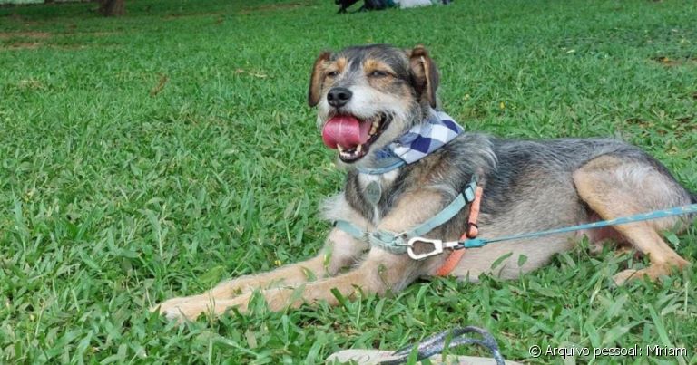 A língua de cachorro ou gato pode deixar qualquer foto mais fofa, e a Caju é a prova disso!