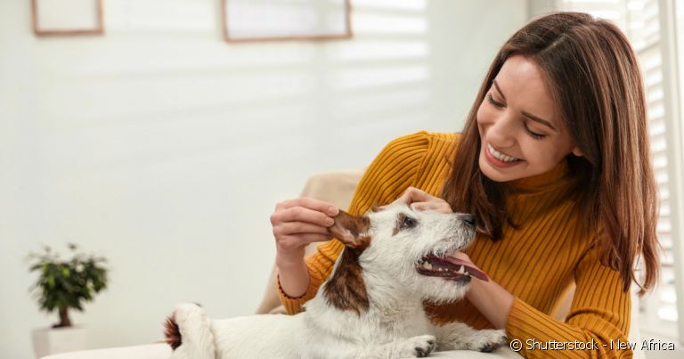 Quando o assunto é como fazer carinho em cachorro, a delicadeza é fundamental!