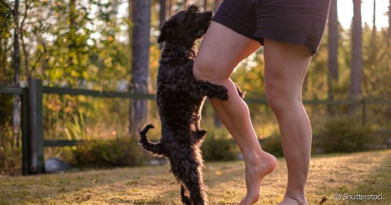 O cachorro montando na perna do dono ou das visitas pode ter várias explicações