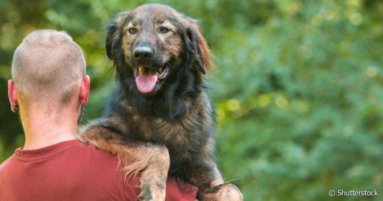 Quero doar meu cachorro: saiba por que a adoção é a melhor forma de fazer isso