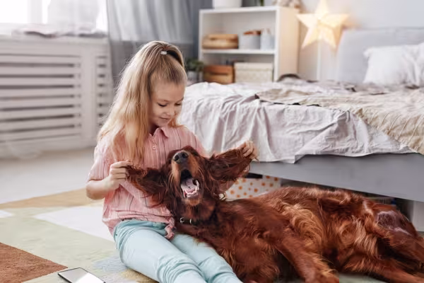 Criança brincando com Setter Irlandês