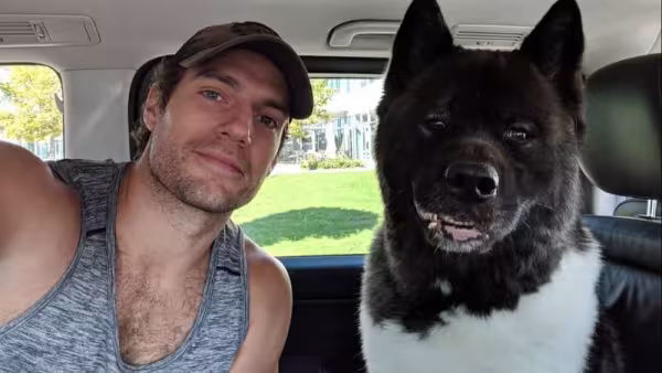 Henry Cavil com seu cão gigante Kal