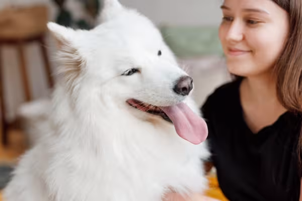 samoieda feliz com criança