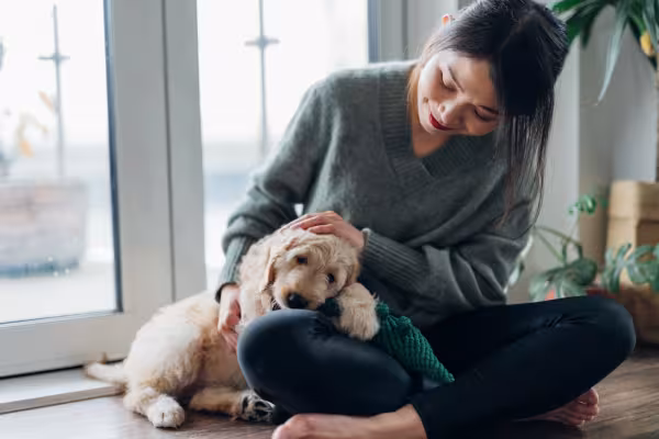 filhote de cachorro ao lado do tutor