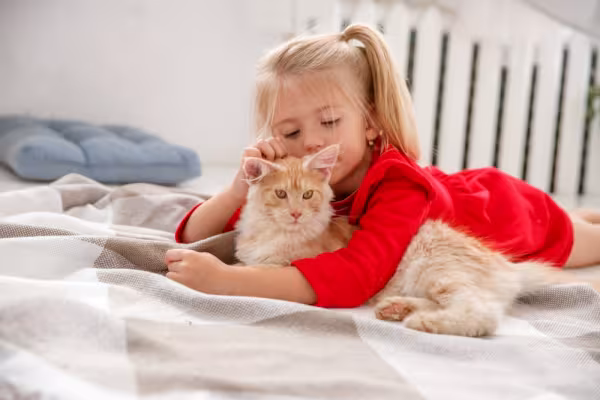 criança ao lado de Maine Coon