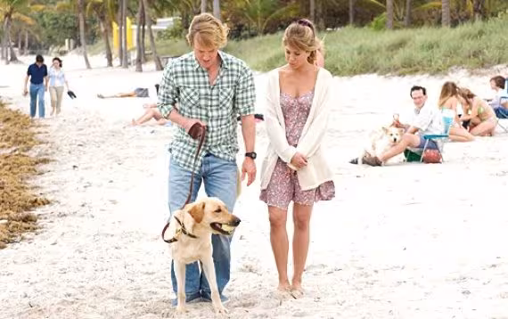 casal passeando com Labrador na praia