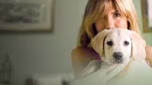 mulher segurando um Labrador filhote