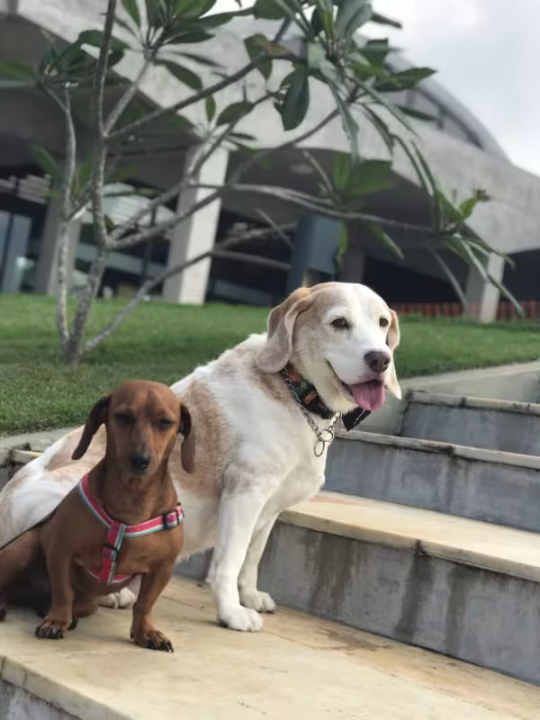 Guga e Amora, sua prima de 5 anos, em um dos programas preferidos: passear no Aterro do Flamengo, no Rio de Janeiro