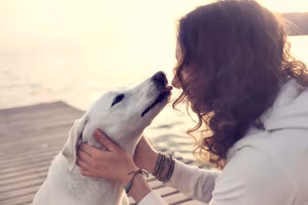 Como saber se meu cachorro me ama