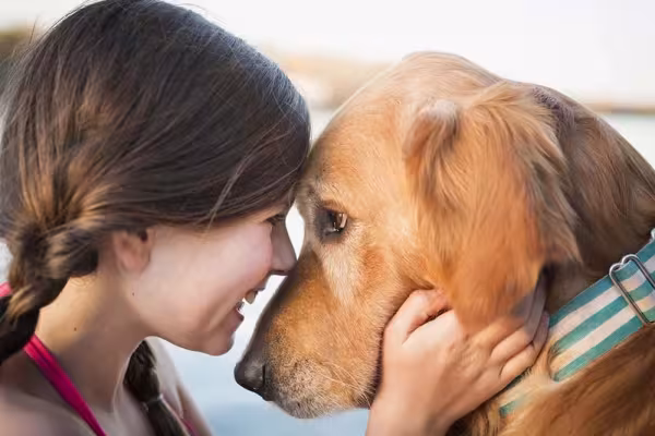 Golden Retriever encostando o rosto no de uma menina