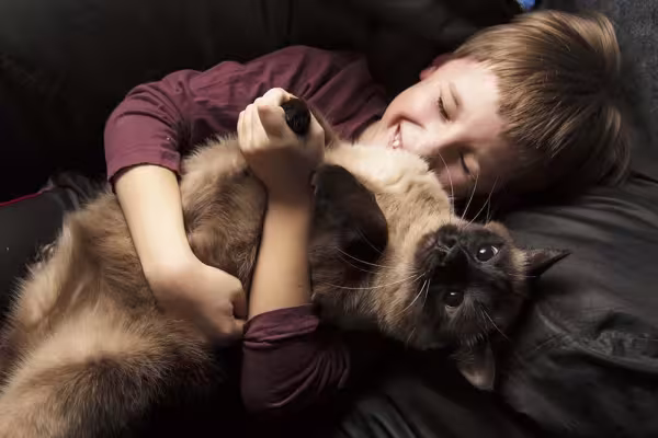 O Sialata se dá bem com crianças! Fotos de gatos Siamês com pequenos também são comuns.