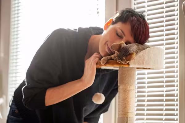 Como fazer seu gato parar de arranhar o sofá: cuide bem das necessidades dos felinos!