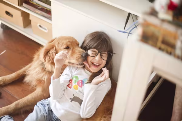 O Golden Retriever mantém um ótimo relacionamento com todos