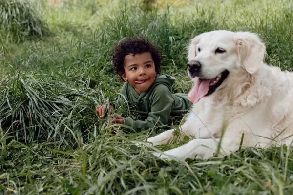 O Golden Retriever é uma companhia incrível para famílias com crianças