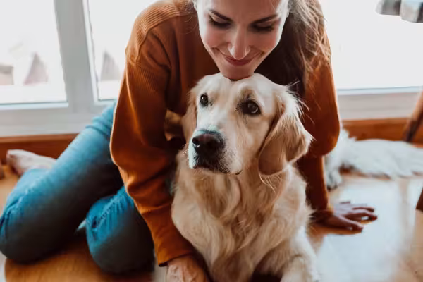 Para o Golden Retriever, valor da família é algo muito importante
