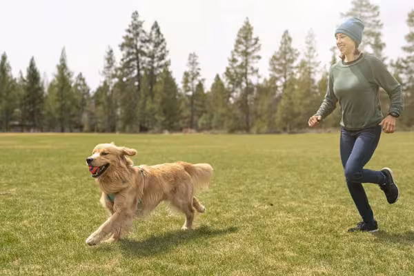 Em imagens, Golden Retriever sempre aparece se divertindo ao ar livre