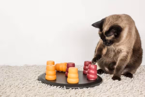 O quebra cabeça é um brinquedo interativo que funciona como um ótimo presente para pet de natal
