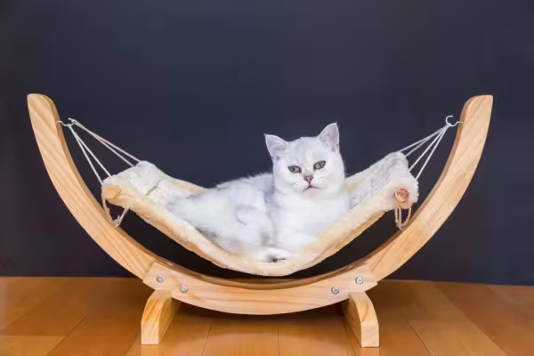 A rede de gato também pode ter um suporte próprio, sem depender de móveis e paredes, parecendo uma caminha