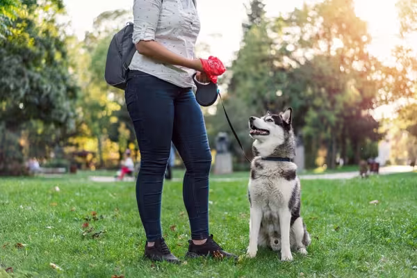 Tenha sempre um cata caca em mãos para recolher as necessidades do seu cachorro na rua. Seja um tutor responsável!