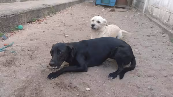 A Rocky e a Shuri não dispensam uma boa dose de diversão! Dá para perceber pela foto, né?